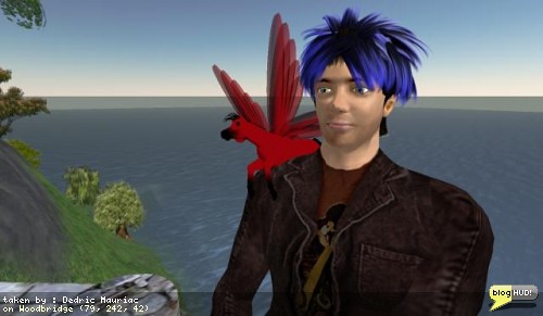 Equin Farie by Korii Tiger (Horse Pixies)